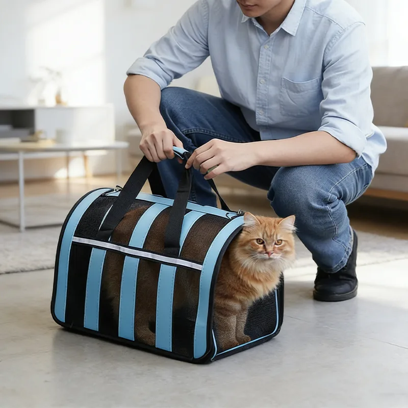 Foldable Mesh Pet Carrier Foldable Mesh Pet Carrier
