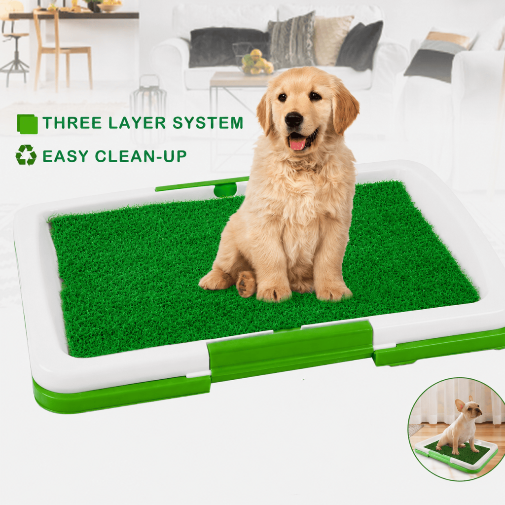 Indoor Dog Toilet with Artificial Grass