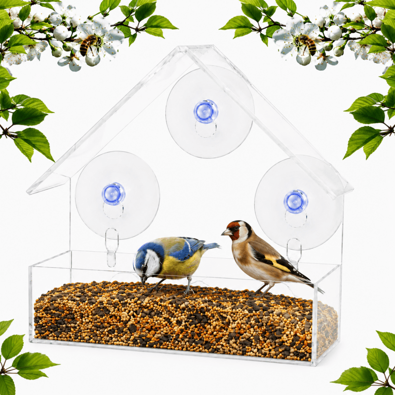 Window Bird Feeder with Suction Cups – 1 feeder Window Bird Feeder with Suction Cups – 1 feeder